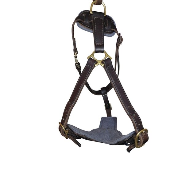 ForDogTrainers FDT H10 XL Leather Agitation Harness Brass Quick-Release Ret $170 - Picture 10 of 12